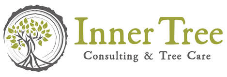 Inner Tree Consulting & Tree Care